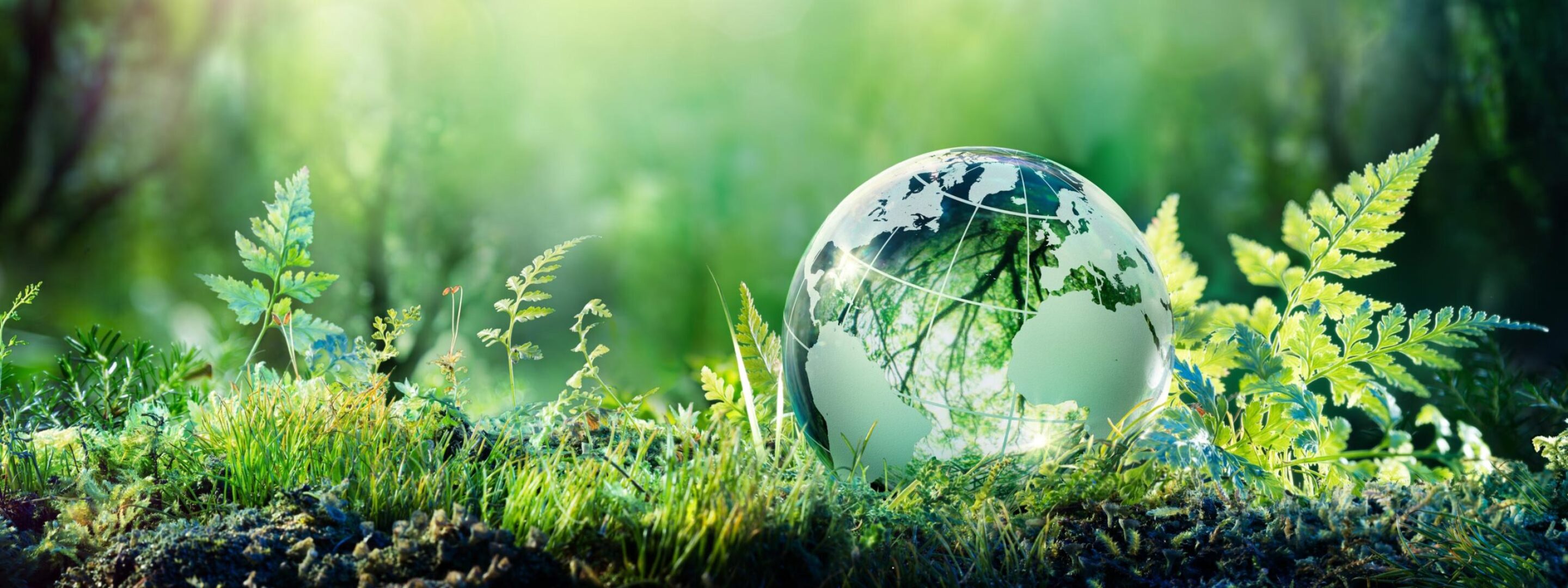 Sustainability